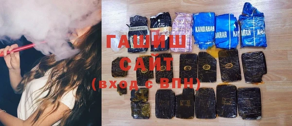 индика Володарск