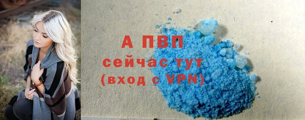 дмт Верея