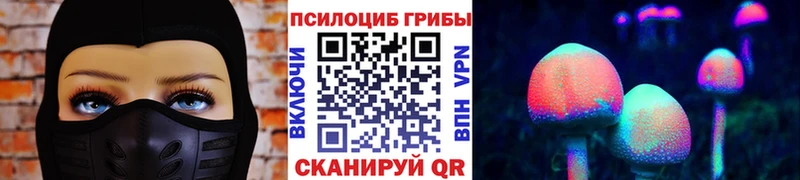 hydra зеркало Камбарка Галлюциногенные грибы прущие грибы что такое наркотик